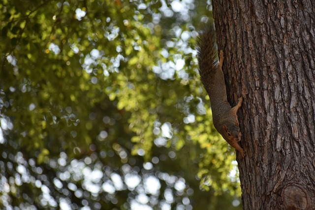 也展示了球 也展示了球