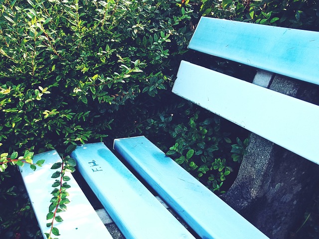 活力十足的 活力十足的