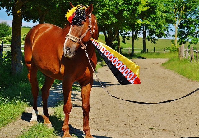 应变能力也 应变能力也