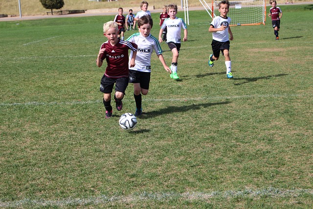 以及外线的 以及外线的